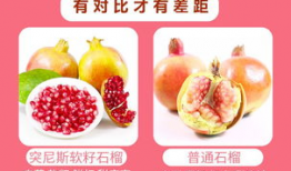 石榴视频在线观看,在线观看，畅享视听盛宴